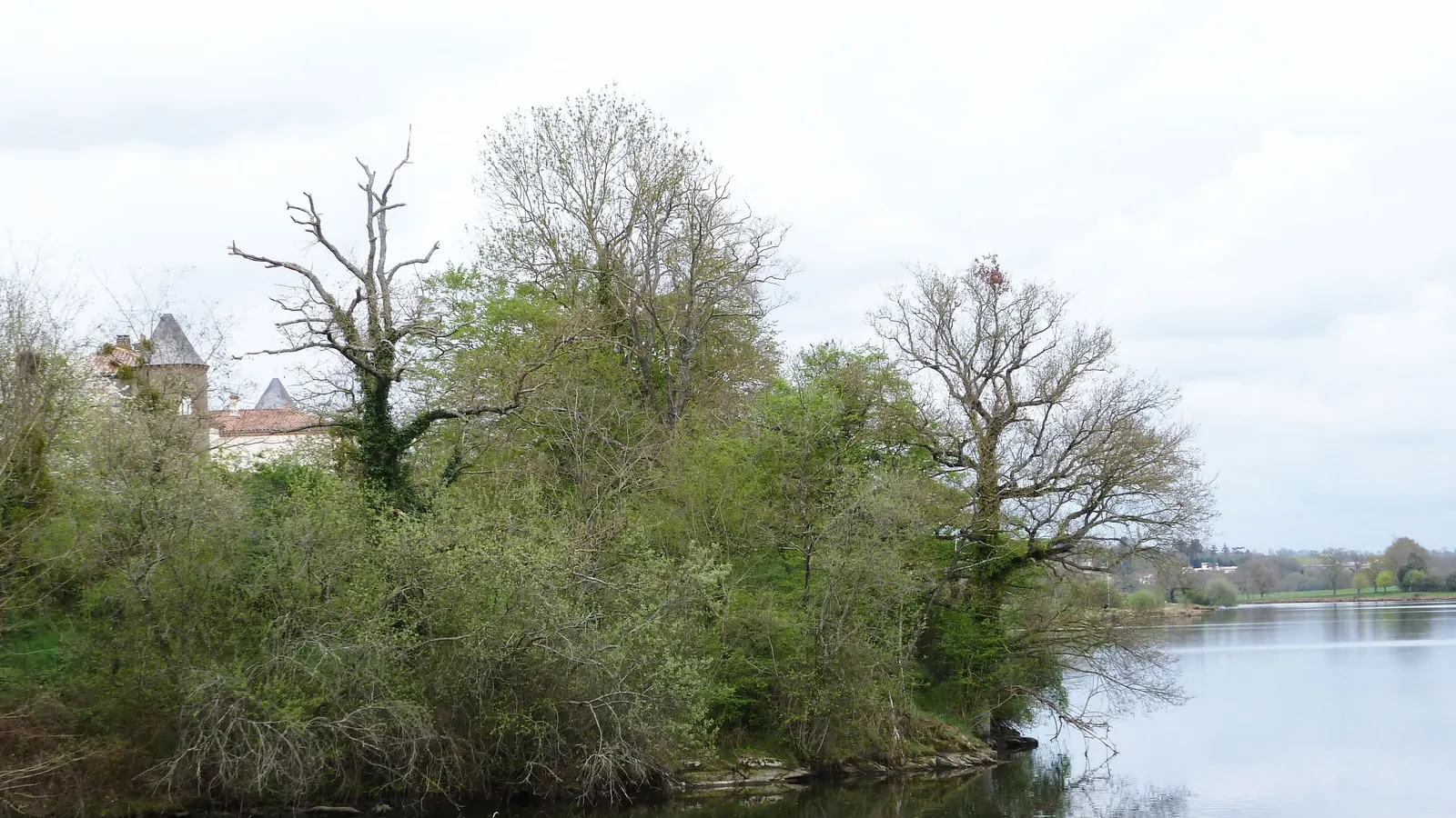 Le lac de Ribou, alimenté par la Moine, aux portes de Cholet